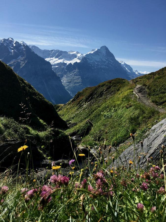 Apartamento Silberhorn Grindelwald Exterior foto